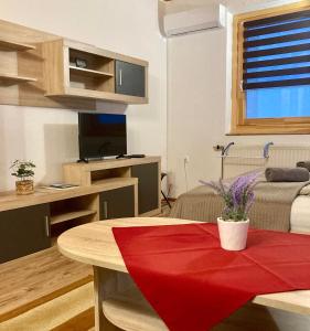 GANCZ APARTMAN