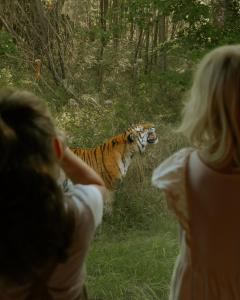 Knuthenborg Safaripark