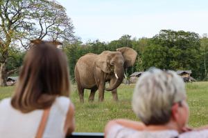 Knuthenborg Safaripark