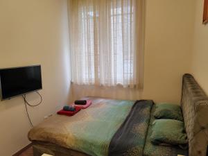 Belvedere city center apartment