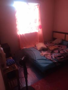 Homestay Ria