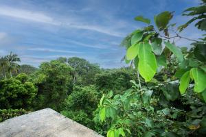 Waveline- Mirissa Surf Retreat