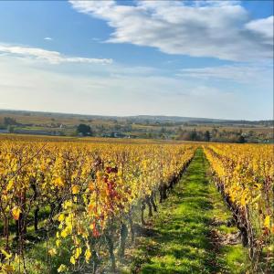 Maisons de vacances Entre Loire & Vignes : Maison de Vacances 3 Chambres 