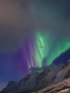 Familievennlig rekkehus - Tromsø