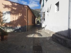 Serenità tra gli ulivi