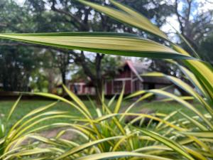 Royal Green Garden - Puttalam