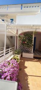 CASA PAOLA VILLINO PIANO TERRA A 500 m DAL MARE