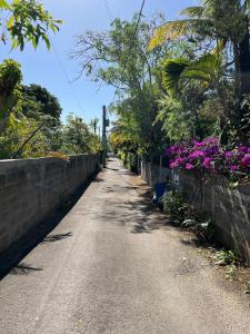 The Bok & Dodo Luxury 3 Bedroom apartment