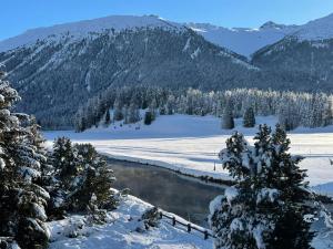 Chesa Pradash 5 - Celerina