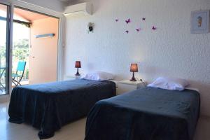 Appart 3 pièces 6 couchages BANYULS SUR MER BN190-002