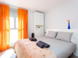 Live Medano Bahía azul