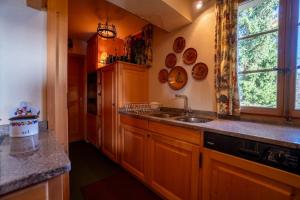 Chalet Bouquetins 7 personnes ski in ski out