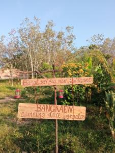 Bangkaew Camping place bangalow