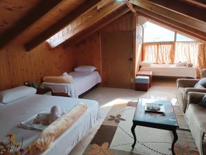 Guesthouse Eva Suite