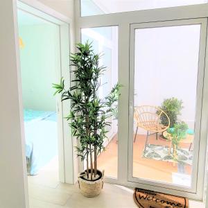 The Shore at Seaside Paradise - Cozy Patio on the Promenade