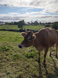B&B / Chambres d'hotes ferme de la gortiere : photos des chambres