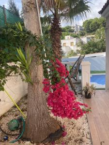 Home with view and swimming pool