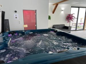 Maisons de vacances Gite de Bellevue avec piscine interieure privative : photos des chambres