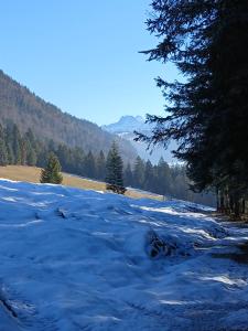Ferienwohnung Maurerhof