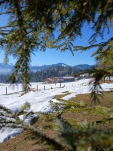 Ferienwohnung Maurerhof