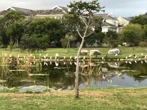 Apartment on Thesen Island
