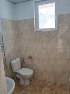 Осоговска Бистрица