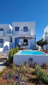 Villa Meraki - 纳克索斯岛卡斯特拉基