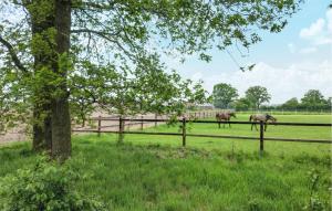 2 Bedroom Lovely Home In Hellendoorn