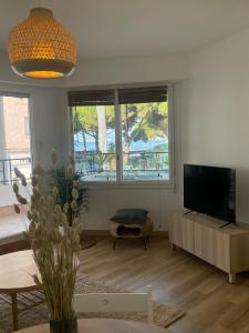 Face à la mer et à 2 pas des plages Juan les Pins Tout à pied