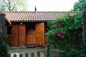 Sfeervol houten huisje met omheinde tuin op de Veluwe - Heerde