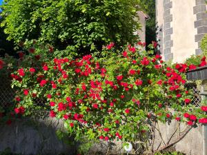 Appartements F3-Anemone : photos des chambres