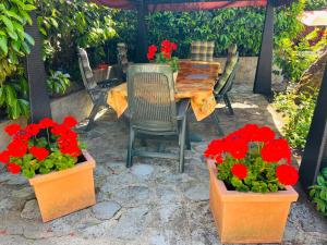 Appartements F3-Anemone : photos des chambres