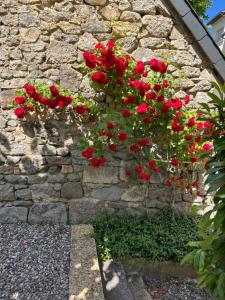 Appartements F3-Anemone : photos des chambres