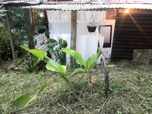 La Senda del Barcino