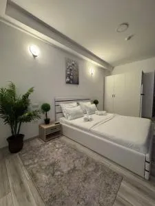 Relax House Apartments - Rojiştea