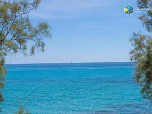 Apto Antic 202 Pax 4