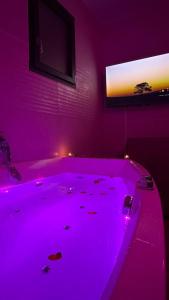 Villas Villa piscine jacuzzi Montpellier : photos des chambres