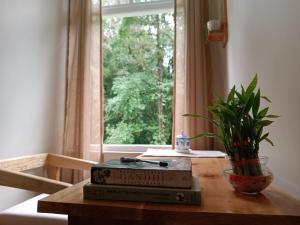 The Alpine Jungle Stay