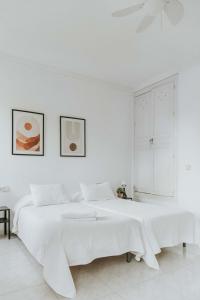 Casa Noble Málaga Centro