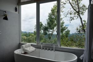 Treehouse Chalets - A Curated Experience of Unique Waterfall Treks and Scenic Hikes