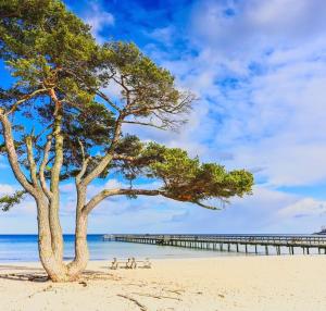Big sea-loving house close to the beach
