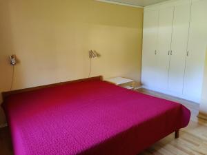 Big sea-loving house close to the beach