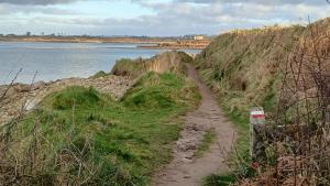 Appartements residence des dunes : photos des chambres