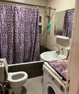 شقق غرفتين للايجار في ش شاهين العجوزه