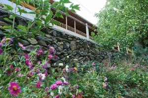 Ulugbeks guesthouse - Nurota