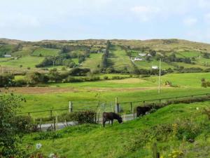 Cottage-Sleep5-Garden-OpenFire-Hiking