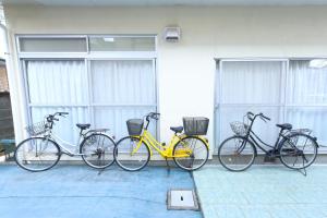 Southern Coast Shonan サザンコースト湘南