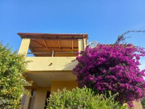 Alessandro&Dinas House