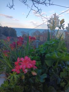 Villa Gialos Ηλέκτρα