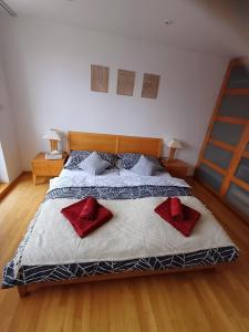 Apartmán Gerlach - 4 balconies mountain view